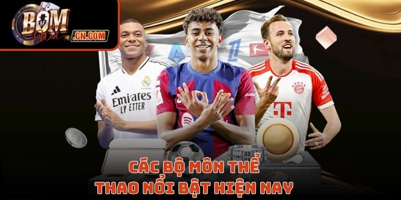 Các bộ môn thể thao phổ biến hiện nay 